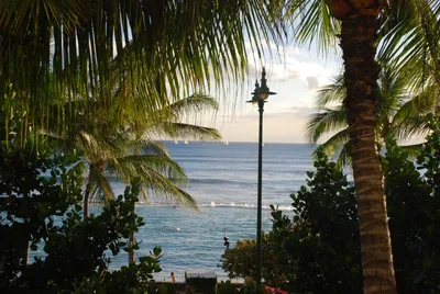 2007_06_01_HAWAII (102) (Large).JPG